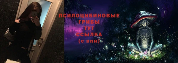 дмт Белокуриха