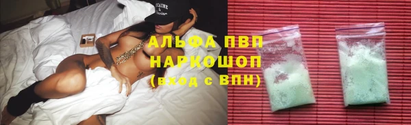 дмт Белокуриха