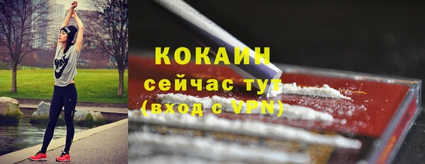 дмт Белокуриха
