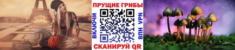 Галлюциногенные грибы Psilocybe  закладки  Новокузнецк 